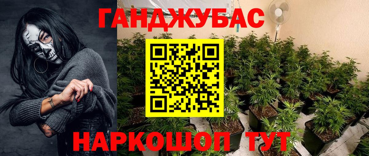 Бошки Шишки марихуана Дмитров